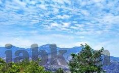 成人的免费视频-成人内容与网络伦理的边界探索