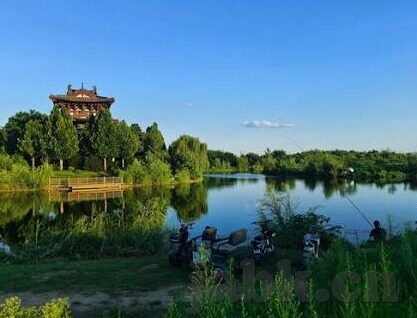 大象传媒2022秘密入口-大象传媒2022，解锁数字娱乐新境界的隐秘通道