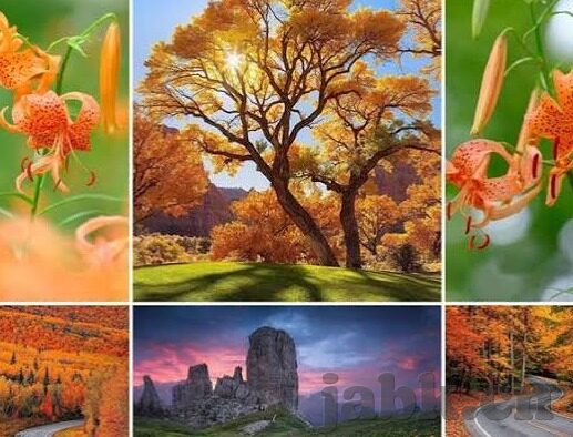 久久麻豆精亚洲av品国产精品-探索成年娱乐内容的多元世界，解密久久麻豆精，品鉴亚洲国产精品的独特魅力