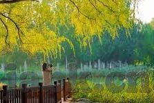 麻豆精品一区二区综合av入口-邂邅影视天地，探索多元娱乐新视界