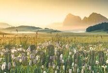 上床视频麻豆-界限之外，色情内容的网络困惑