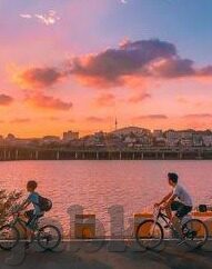 糖心vlog破解版安装包-探索与风险，糖心Vlog安装的另一面